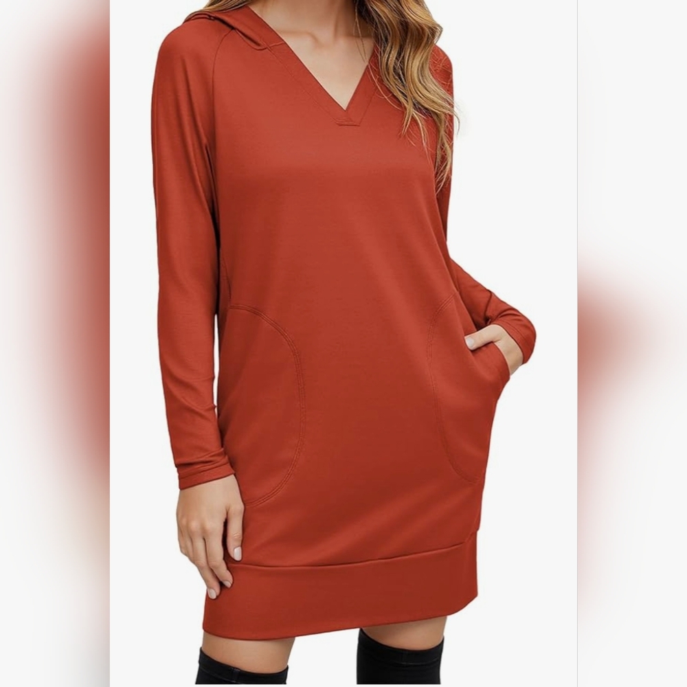 Chic Long Sleeve Rust Dress